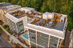 1250 Alki Ave SW Unit #3B, Seattle, WA 98116