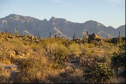 1535 W Tortolita Mountain Circle, Oro Valley, AZ 85755