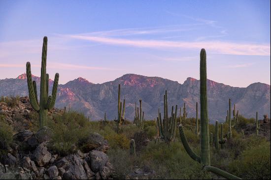 1535 W Tortolita Mountain Circle, Oro Valley, AZ 85755