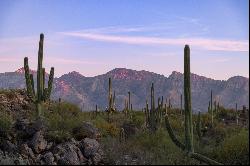 1535 W Tortolita Mountain Circle, Oro Valley, AZ 85755