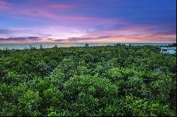 MARCO ISLAND