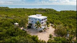 Prime Oceanfront Home with Acreage