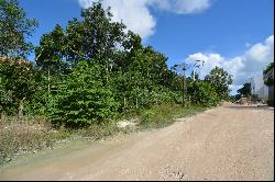 MIXED-USE LOT IN REGION 15 TULUM