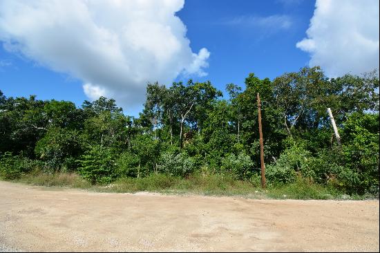 MIXED-USE LOT IN REGION 15 TULUM