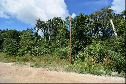 MIXED-USE LOT IN REGION 15 TULUM