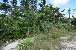 MIXED-USE LOT IN REGION 15 TULUM