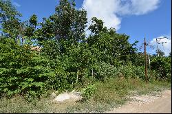 MIXED-USE LOT IN REGION 15 TULUM