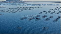 Lucrative shellfish farm on the Etang de Thau with restaurant.