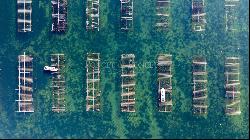 Lucrative shellfish farm on the Etang de Thau with restaurant.