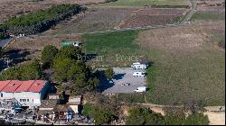 Lucrative shellfish farm on the Etang de Thau with restaurant.