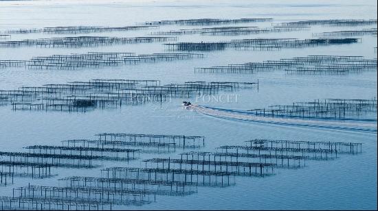 Lucrative shellfish farm on the Etang de Thau with restaurant.