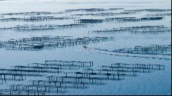 Lucrative shellfish farm on the Etang de Thau with restaurant.