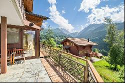 Spacious family chalet, billiard room, carnotzet, panoramic views