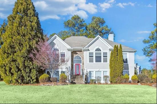 6733 Holiday Point, Buford GA 30518