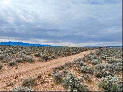 Darlene Road, El Prado NM 87529