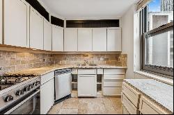 253 E DELAWARE Place #16G, Chicago IL 60611