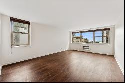 253 E DELAWARE Place #16G, Chicago IL 60611