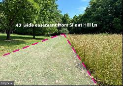 Silent Hill Lane, White Post VA 22663