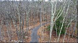 Mossy Hill Road, Catskill NY 12414