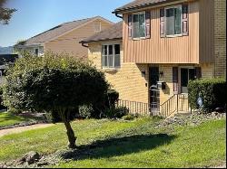 167 Sweeney Way, Hill District PA 15219