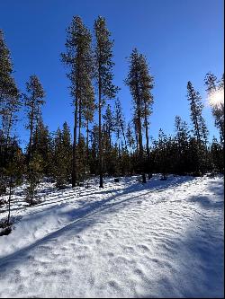 TL 09900 Scabbard Court #4, La Pine OR 97739