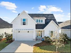 28 Conifer Court, Inlet Beach FL 32461