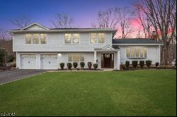 172 Woodbine Cir, New Providence Boro NJ 07974