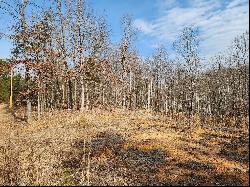 Lot 18 Turkey Run Ln, Wirtz VA 24184