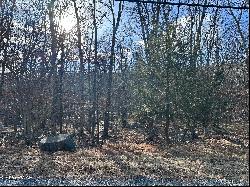 Lot 736 Decker Road, Bushkill PA 18324