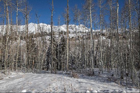 Ski-In/Ski-Out Property Offers An Unparalleled Opportunity In Mountain Village. 