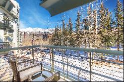 136 Country Club Drive,Mountain Village, CO, 81435