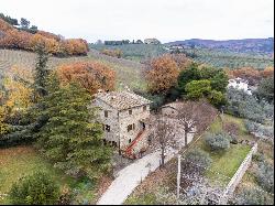 Farm/Ranch/Plantation for sale in Assisi (Italy)