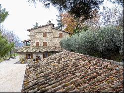 Farm/Ranch/Plantation for sale in Assisi (Italy)