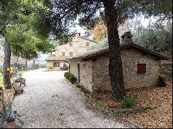 Farm/Ranch/Plantation for sale in Assisi (Italy)