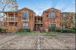 2255 Braeswood Park #205