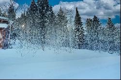 Blackfoot Trail