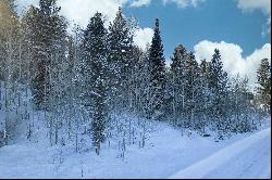 Blackfoot Trail