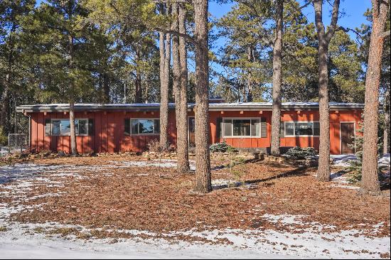 Exceptional close-in location in southwest Black Forest!