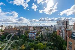 Unique penthouse in Nueva España