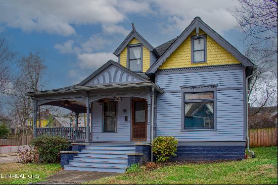 703 Luttrell Street, Knoxville, TN, 37917, USA