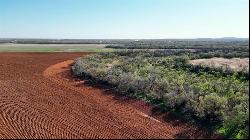 TBD (Tract 2) FM 1082, Abilene TX 79601