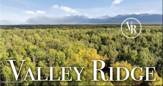 1550 W Valley Ridge Drive, Wasilla AK 99654