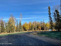 Tr C Lake Lucille Drive, Wasilla AK 99654