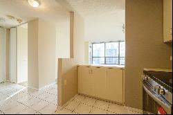 405 N Wabash Avenue #1015, Chicago IL 60611