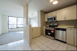 405 N Wabash Avenue #1015, Chicago IL 60611