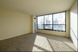 405 N Wabash Avenue #1015, Chicago IL 60611