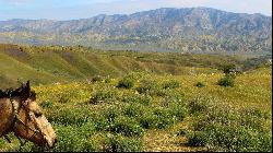 Wasioja Road, New Cuyama CA 93254