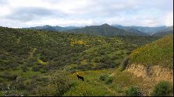 Wasioja Road, New Cuyama CA 93254