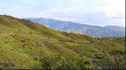 Wasioja Road, New Cuyama CA 93254