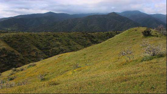 New Cuyama